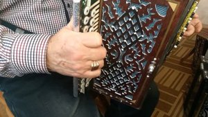 Гармонь Любительская Ре диез.
