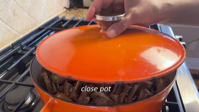 Vitamix Cream of Mushroom Soup: Without Cream or Dairy