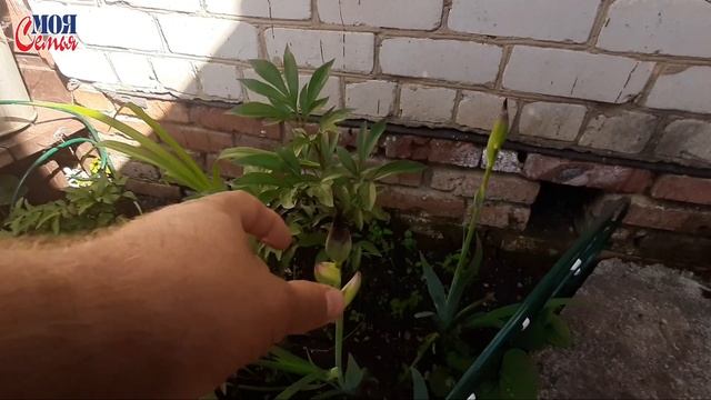 На даче с ночёвкой//Обзор покупок//семейный влог//моя семья//наша дача/Наш первый урожай/Family vlo