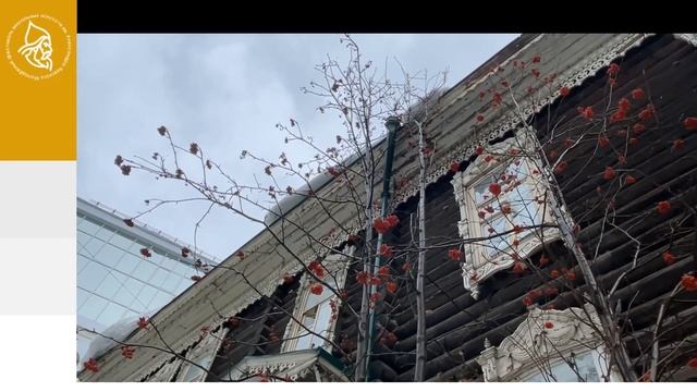 Залялетдинова Антонина смотреть онлайн