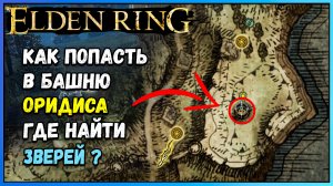 Elden Ring, как попасть в башню Оридиса | Как разгадать загадку башни| Где найти мудрых зверей Гайд