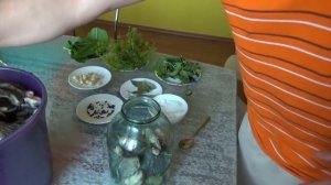 грузди грибы соленые на зиму приготовление груздей холодным способом белый груздь рецепт