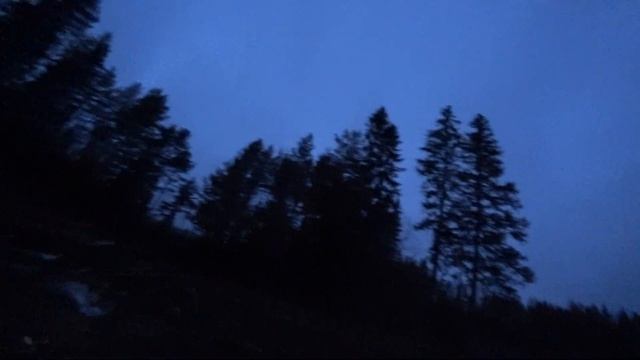 ВЕСЕННЯЯ ПРОГУЛКА ДО ТЯГИ ВАЛЬДШНЕПА. смотреть онлайн