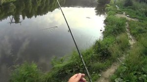 РЫБАЛКА В КРАСНОГОРСКЕ