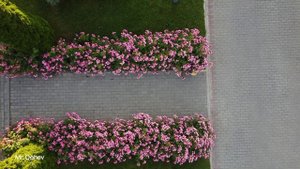 Центр отдыха Радуга. Озеро Иссык-Куль. #иссыккуль #киргизия #dji