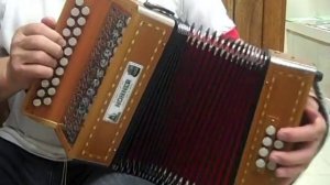 Hohner Morgane Diatonic Accordion