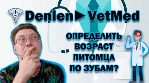 Определить возраст питомца по зубам?