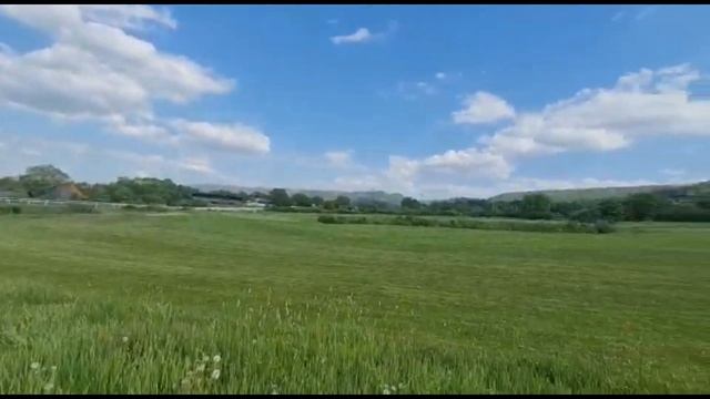 ОПЯТЬ МЫ НА ДАЧЕ В ГАРМОНИИ С ПРИРОДОЙ /ГЕРМАНИЯ. смотреть онлайн