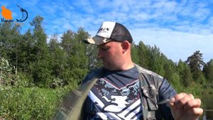 На что ловить язя Воблер для язя