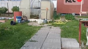 гуляю по всем дарошкам на даче