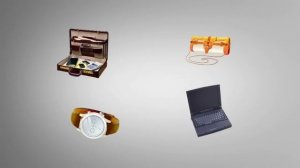 Механические противоугонные устройства DRAGON