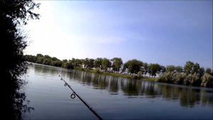 Рыбалка! Просто рыбалка! Трофеев нет, но есть изюминка! 01.06.2021 ВДСК 11й шлюз