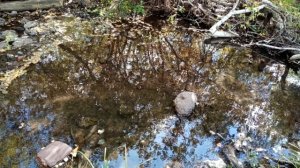 Поход за Старый Сибай.