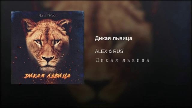 ALEX & RUS - Дикая львица ? ?? ❤️ смотреть онлайн