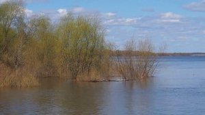 Разлив Оки, Муром, 26 апреля 2021, The Oka River flooded, Murom, April 26, 2021