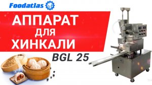 Видео аппарат для производства котлет по-киевски BGL-25, пельменное оборудование, Foodatlas