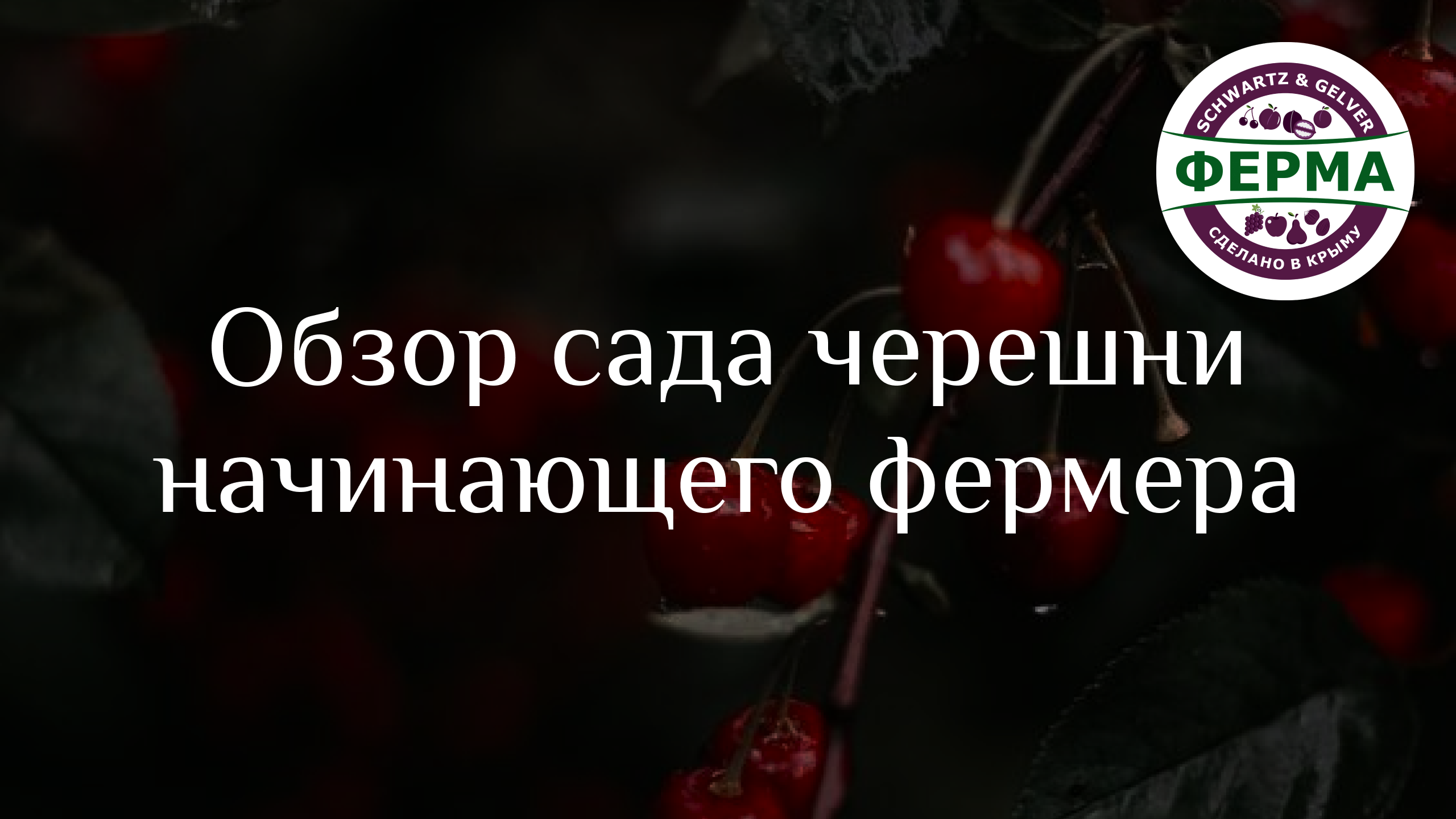 ОБЗОР сада ЧЕРЕШНИ начинающего ФЕРМЕРА