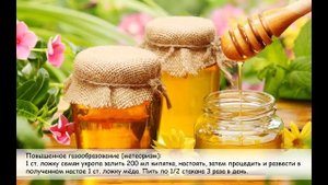 Болезни лечим медом. 7 полезных рецептов.