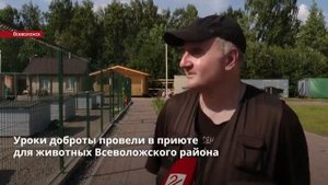 Ветврач и кинолог провели урок доброты для детей в приюте для животных Всеволожского района