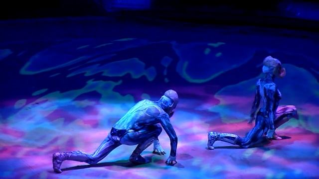 circus Minsk Belarus смотреть онлайн