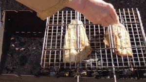 Рыба на мангале Постное блюдо