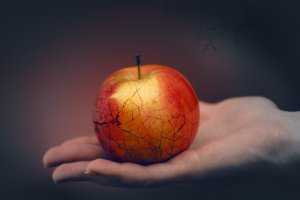 РИТУАЛ ЯБЛОКО РАЗДОРА. РАССОРИТЬ ВРАГОВ. ДЛЯ ВСЕХ ВЕДЬМИНА ИЗБА - ИНГА ХОСРОЕВА