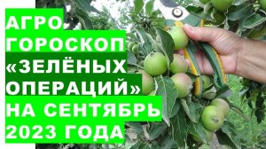 Агрогороскоп "зелёных операций" на сентябрь 2023Agrohoroscope of green operations for September 2023