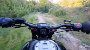 Geon Scrambler на камнях/Geon Scrambler on stones