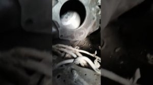 Как установить кожух зил на двигатель Д240