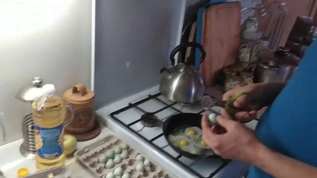 Сeladon - а они вкусные? Хохма ) #celadon #целадон #перепела