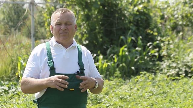 ТОП-5 препаратов от вредителей на картофеле смотреть онлайн