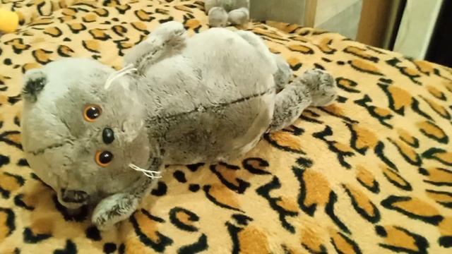 ОБЗОР ОДЕЖДЫ БАСИКОВ смотреть онлайн