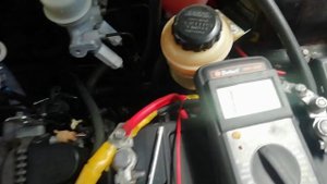 Трудовые будни выходного дня