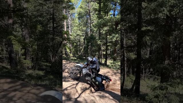 2022 honda xr 650 l stuck on sandy trail