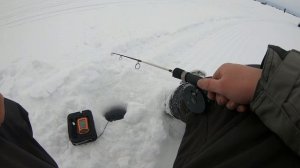 Тест блесен ECOPRO! Купил ЭХОЛОТ! Рыбалка на судака на снегоходе.