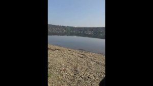 Рыбалка Тихий плес, 8 й километр Александровского тракта