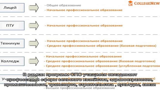Средне специальные учебные заведения смотреть онлайн