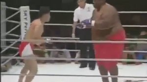 Бокс! Прикол в боксе