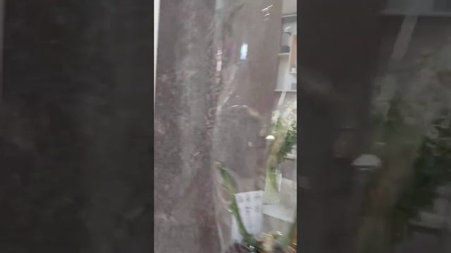 А кто тут у нас прячется?? #flower #пионы #цветы #флорист смотреть онлайн