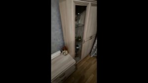Видеоотзыв о Стенке Карина (Лером)