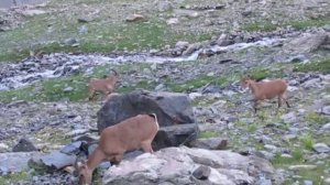 Горные туры.