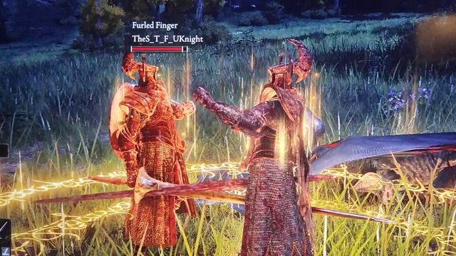 Elden Ring is the friends we made along the way смотреть онлайн