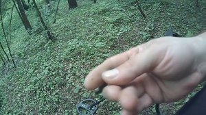 Поиск монет на лесных дорогах.