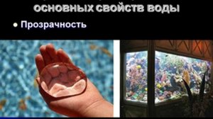 Презентация Вода источник жизни на Земле