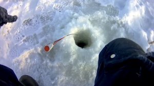 ЗИМНЯЯ РЫБАЛКА НА ОКЕ.ЛОВЛЯ ГУСТЕРЫ ВТОРАЯ ЧАСТЬ..