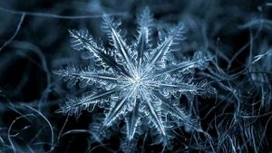 Алекс Атаман - Снежинки