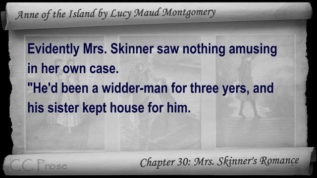 Chapter 30 - Anne of the Island by Lucy Maud Montgomery - Mrs. Skinner's Romance смотреть онлайн