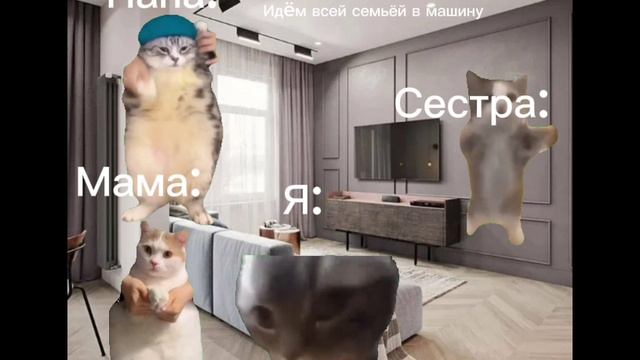 "КОШАЧЬЯ ЖИЗНЬ" 
2 ЧАСТЬ (1-АЯ ПОЛОВИНА ВИДЕО)