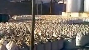 Олекминский ГОК