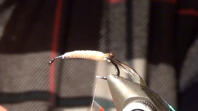 SHRIMP VARIANT  SVA